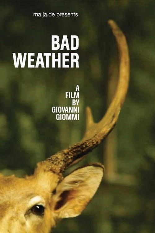 Bad Weather backdrop