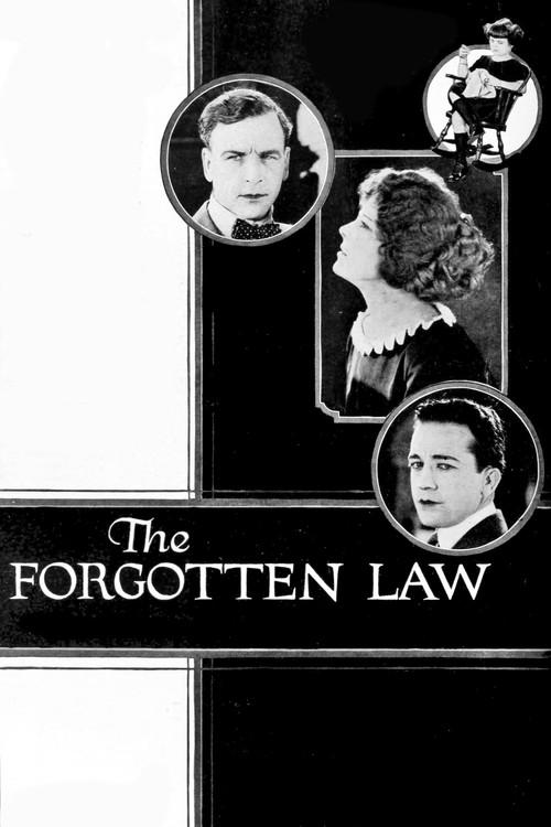 The Forgotten Law backdrop