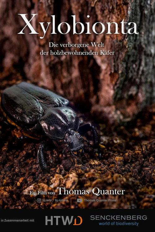 Xylobionta - die verborgene Welt der holzbewohnenden Käfer backdrop