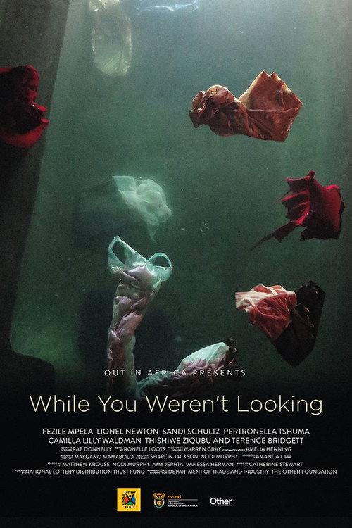 While You Weren't Looking backdrop