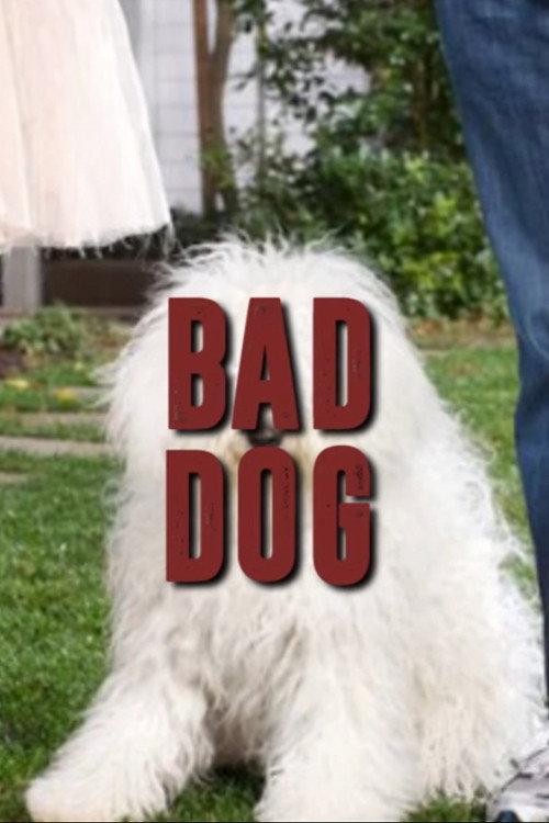 Mark Zuckerberg’s Dog backdrop