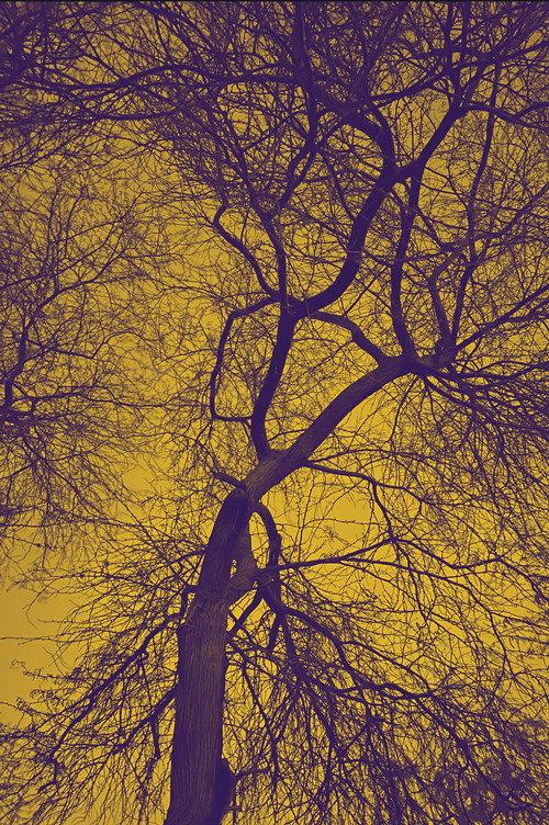 Darkness above and below, laying on the bliss backdrop