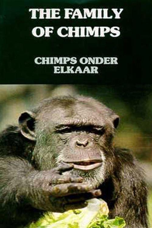 The Family of Chimps backdrop
