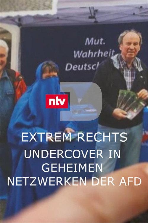 Extrem rechts - Undercover in geheimen Netzwerken der AfD backdrop