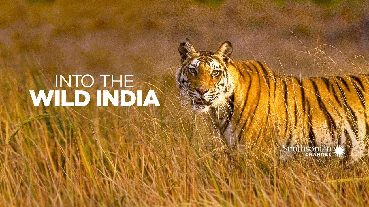 Into the Wild: India backdrop