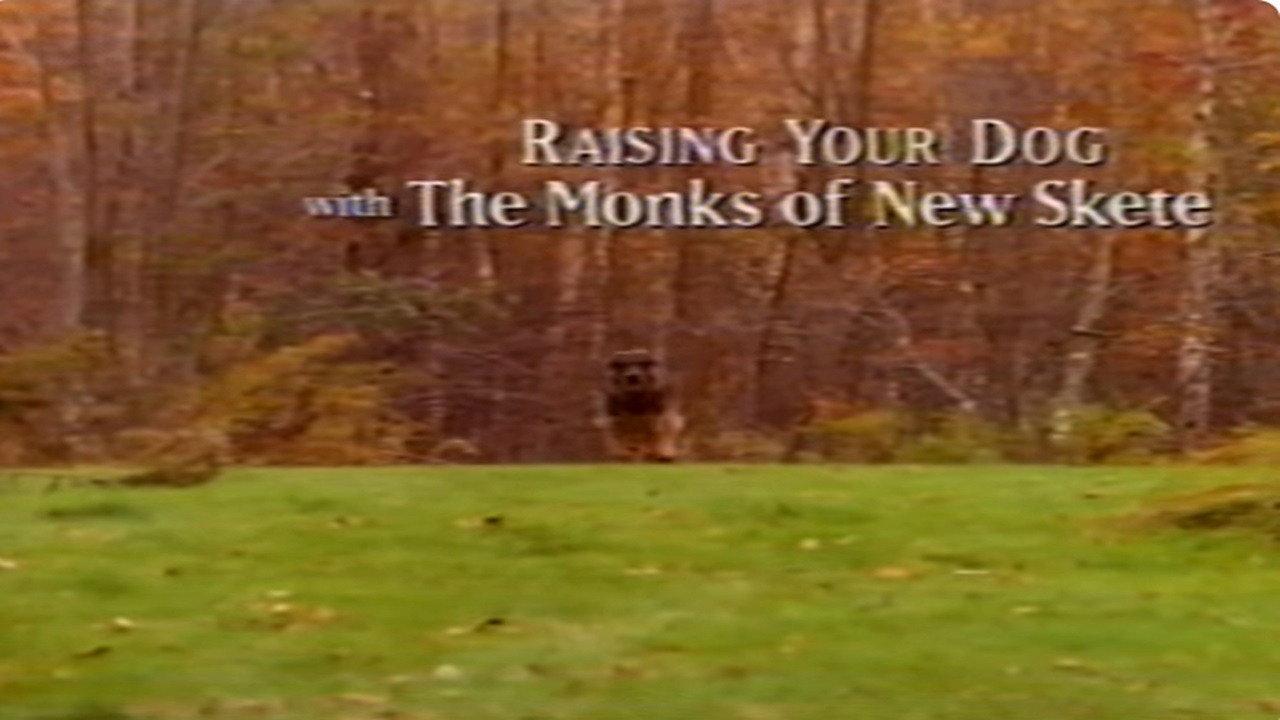 Raising Your Dog with the Monks of New Skete: Obedience - Working With Your Adult Dog backdrop