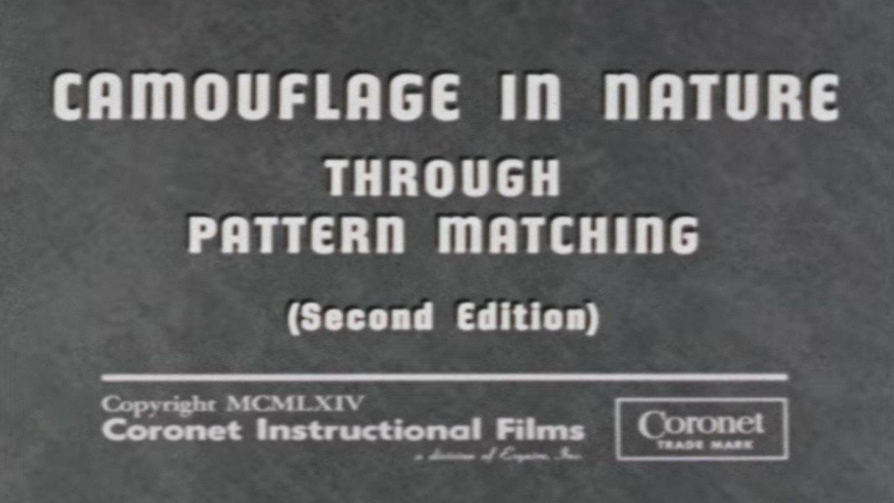 Camouflage In Nature: Through Pattern Matching (Second Edition) backdrop