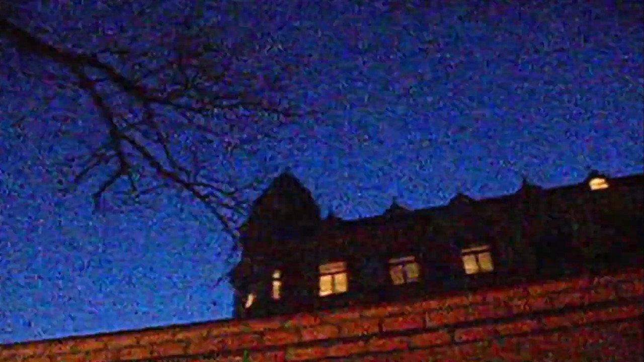 Schillerska & naked trees backdrop