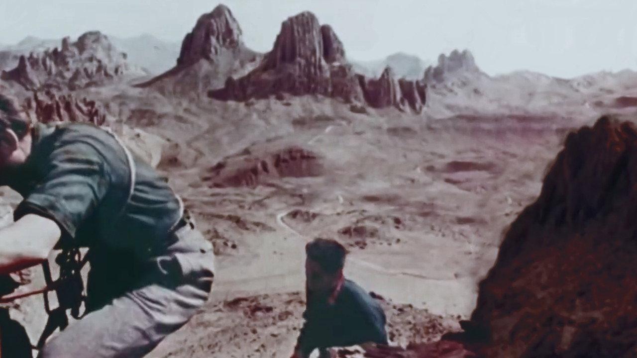 Hoggar backdrop