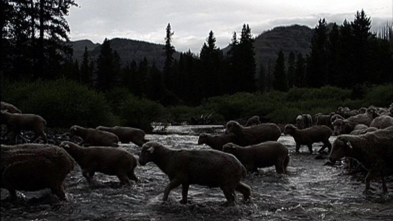 Hell Roaring Creek backdrop