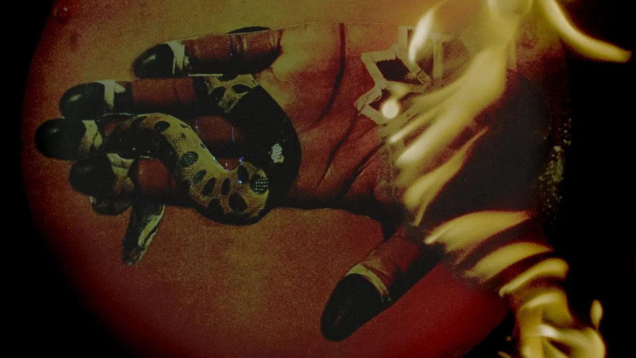 Memory of a Displaced Body backdrop