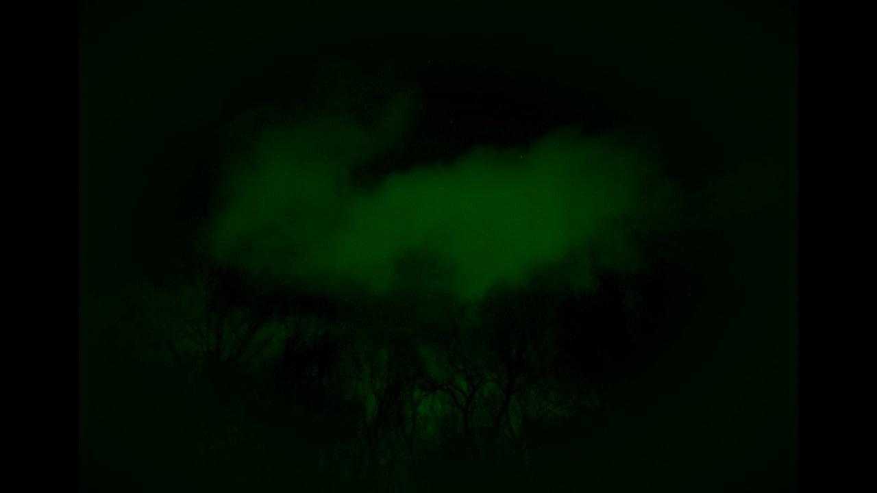 Rumination backdrop