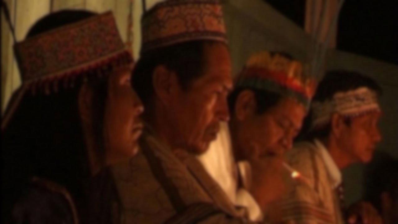 L'Ayahuasca, le serpent et moi backdrop