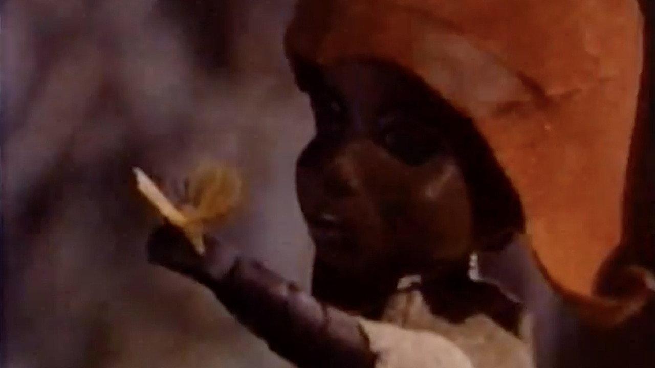 Papobo backdrop