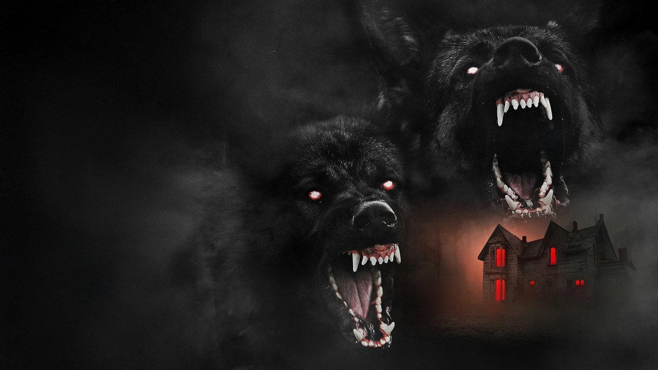 The Dogs backdrop