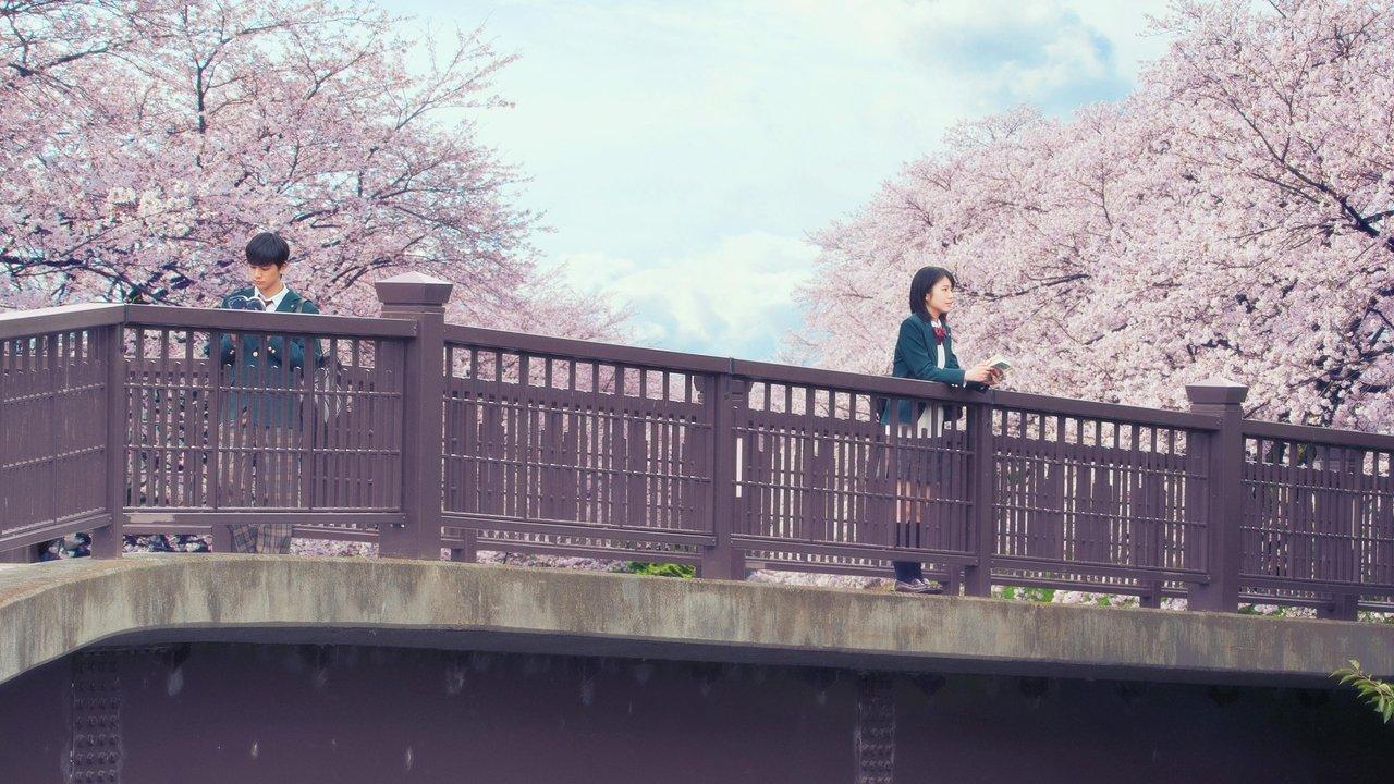 Let Me Eat Your Pancreas backdrop