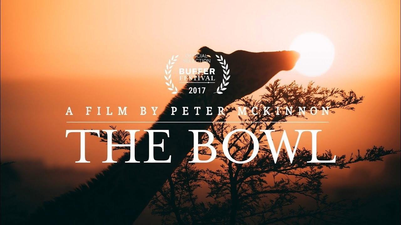 The Bowl backdrop