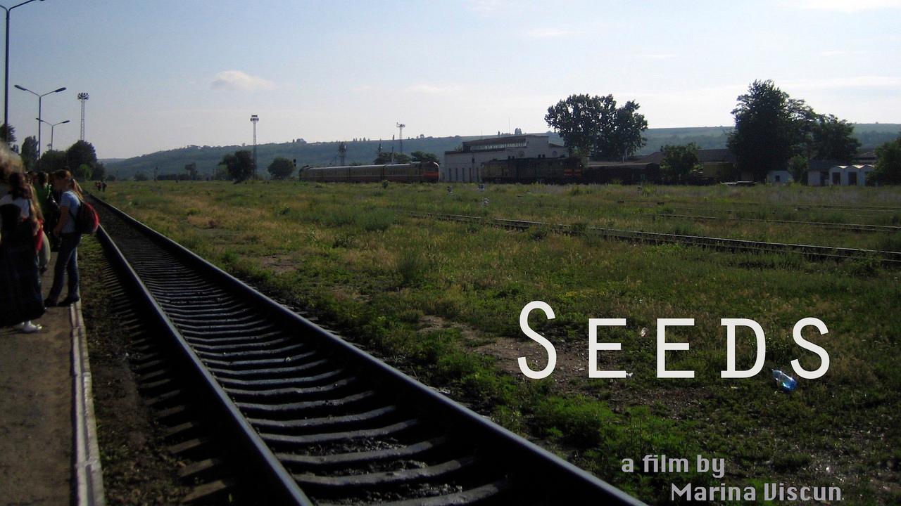 Seeds backdrop