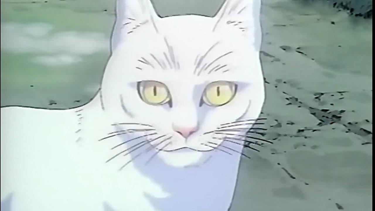 Licca the Movie: Licca-chan to Yamaneko Hoshi no Tabi backdrop