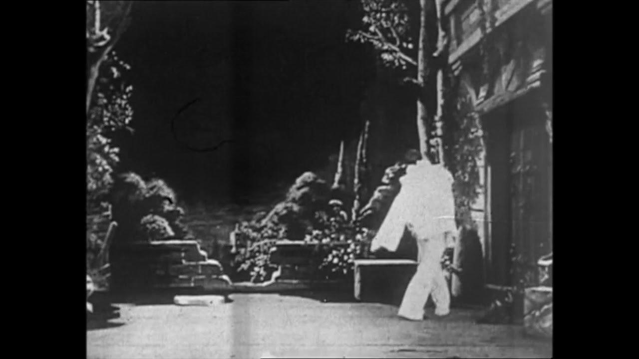 A Moonlight Serenade backdrop