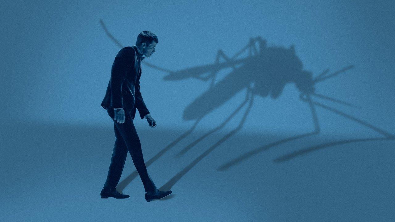 Mosquito State backdrop