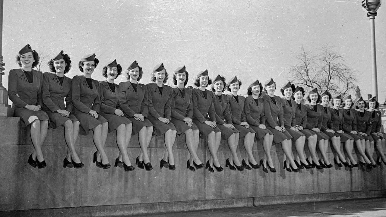 Flying Stewardess backdrop