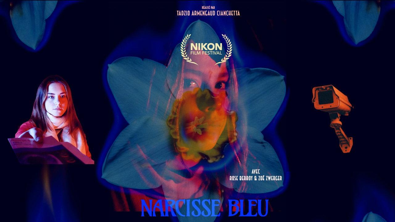 Narcisse bleu backdrop