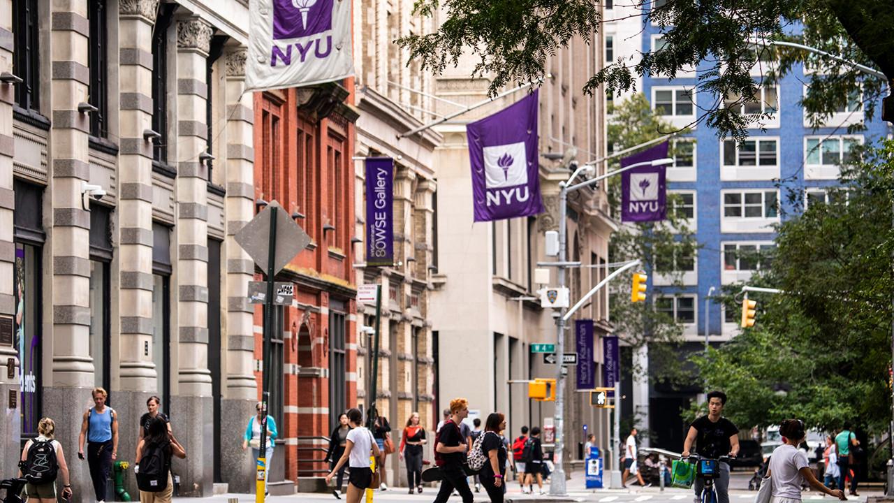 Meet The Most Based NYU Student backdrop