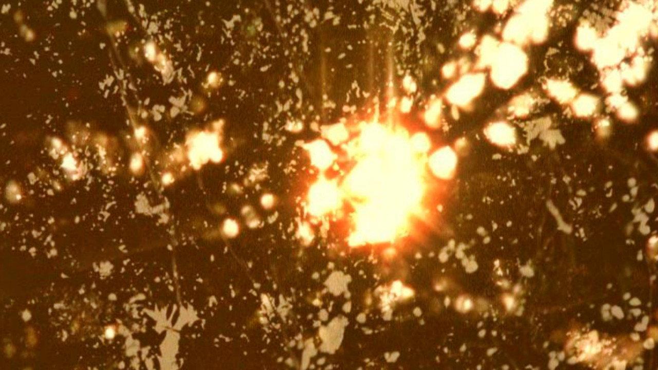 Elements of Nothing backdrop