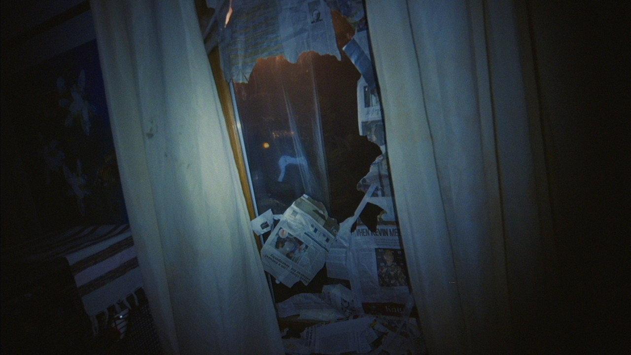 Birdcall backdrop