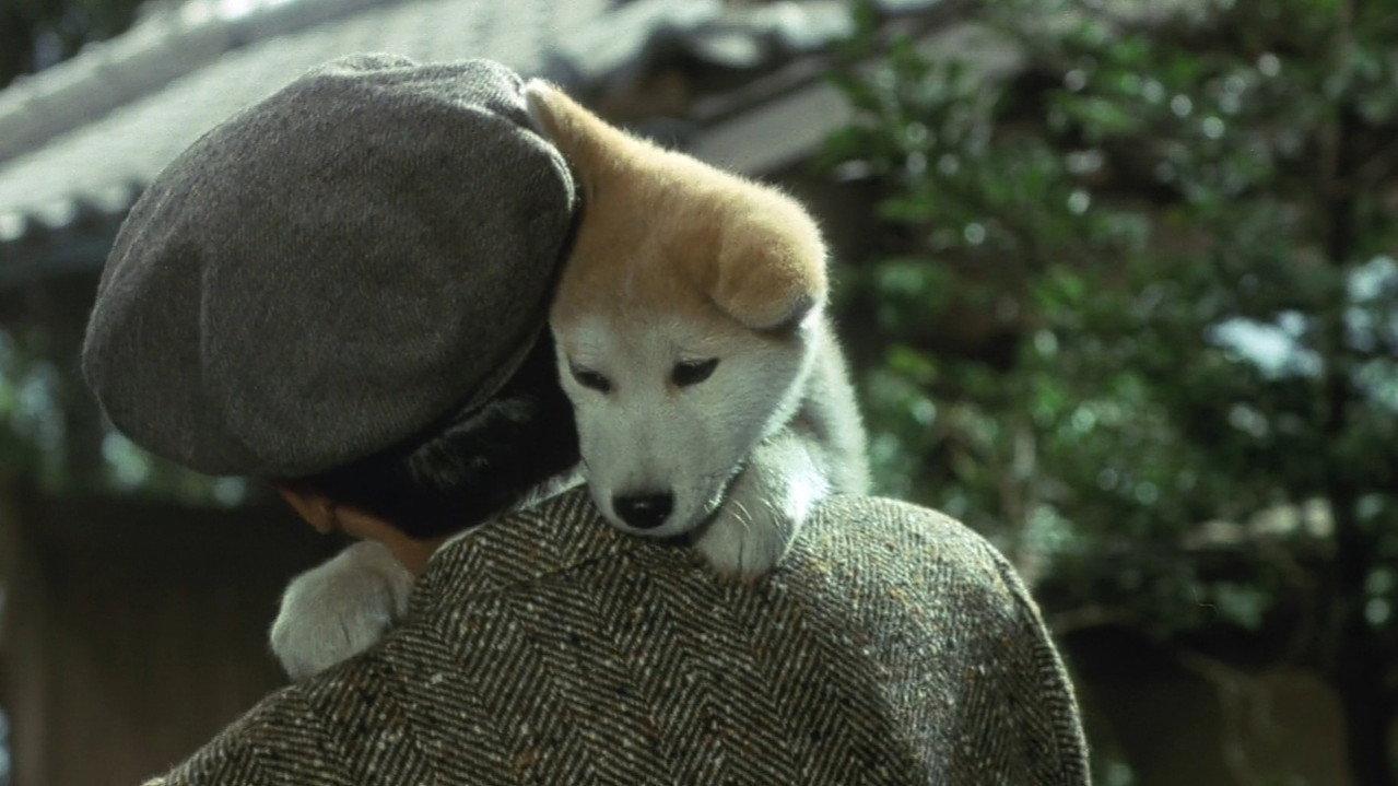 Hachiko backdrop