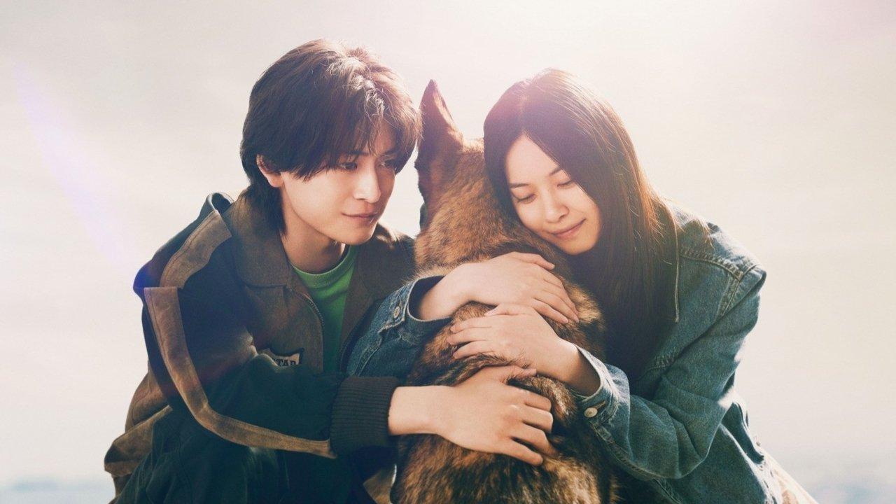 The Boy and the Dog backdrop