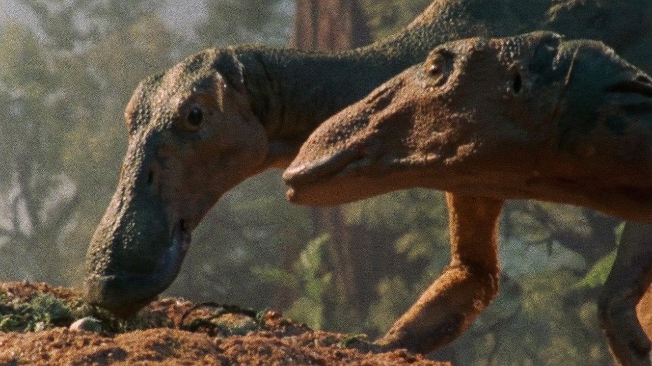 Dinosaur! backdrop