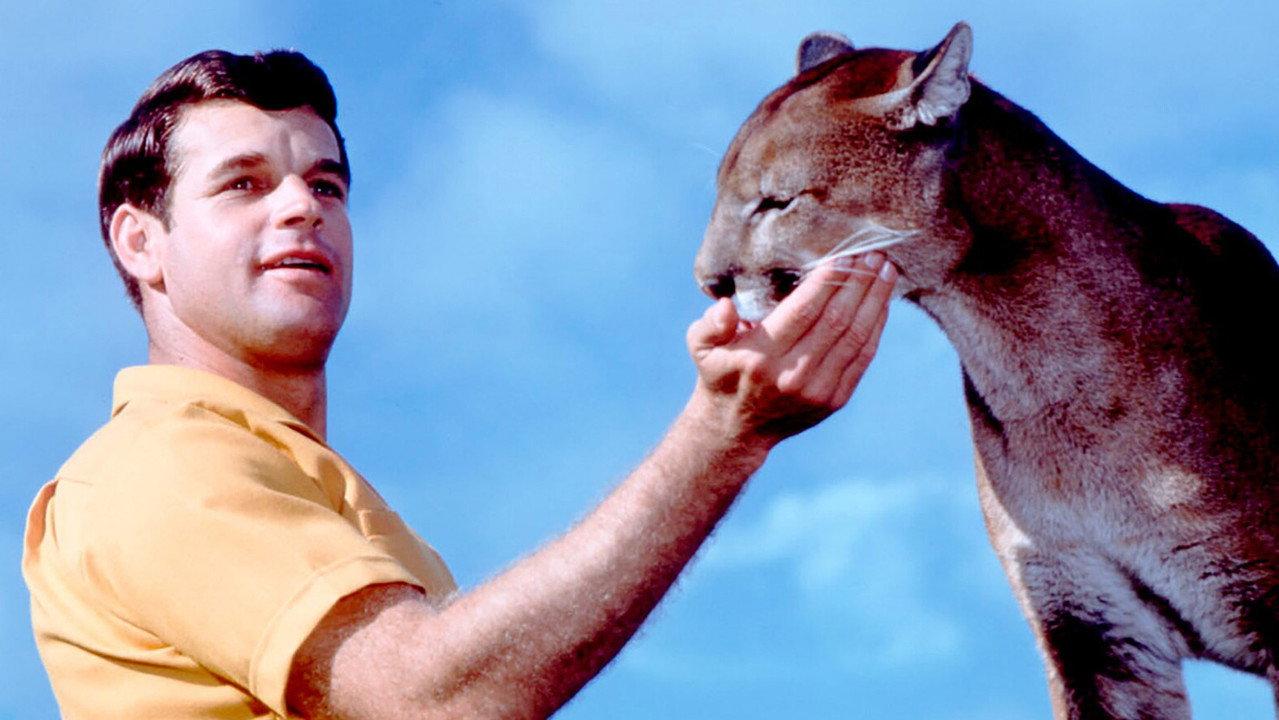 Charlie, the Lonesome Cougar backdrop
