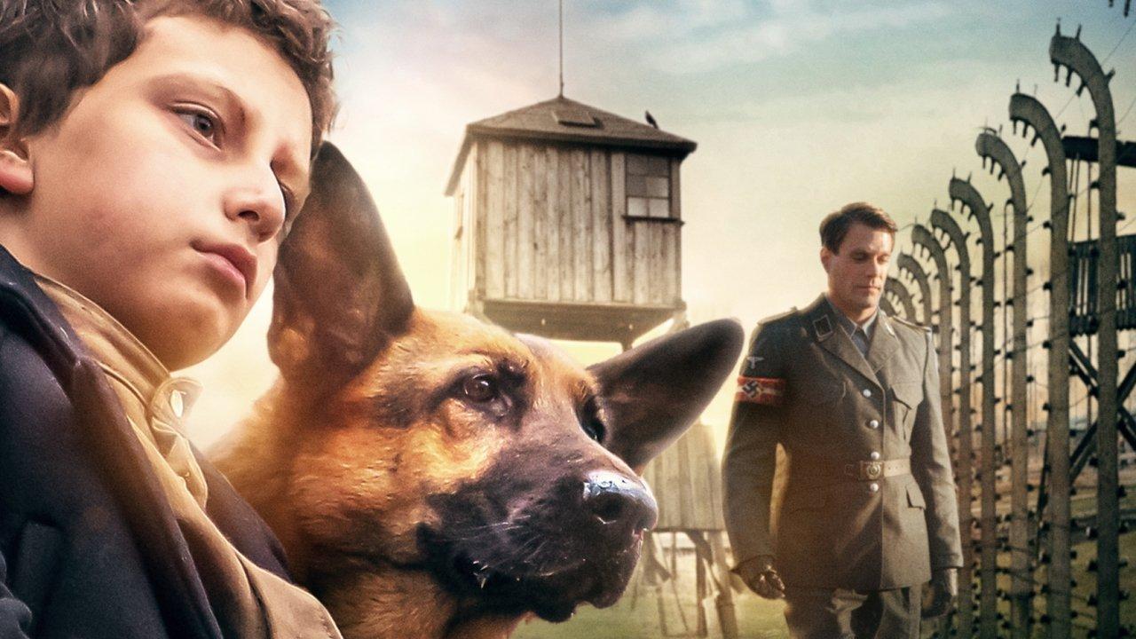 Shepherd: The Story of a Jewish Dog backdrop