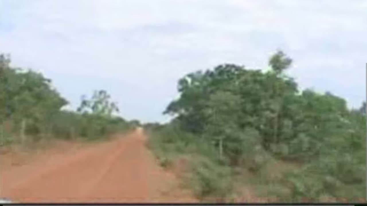 A Terra E O Tempo - Vozes Do Quilombo backdrop