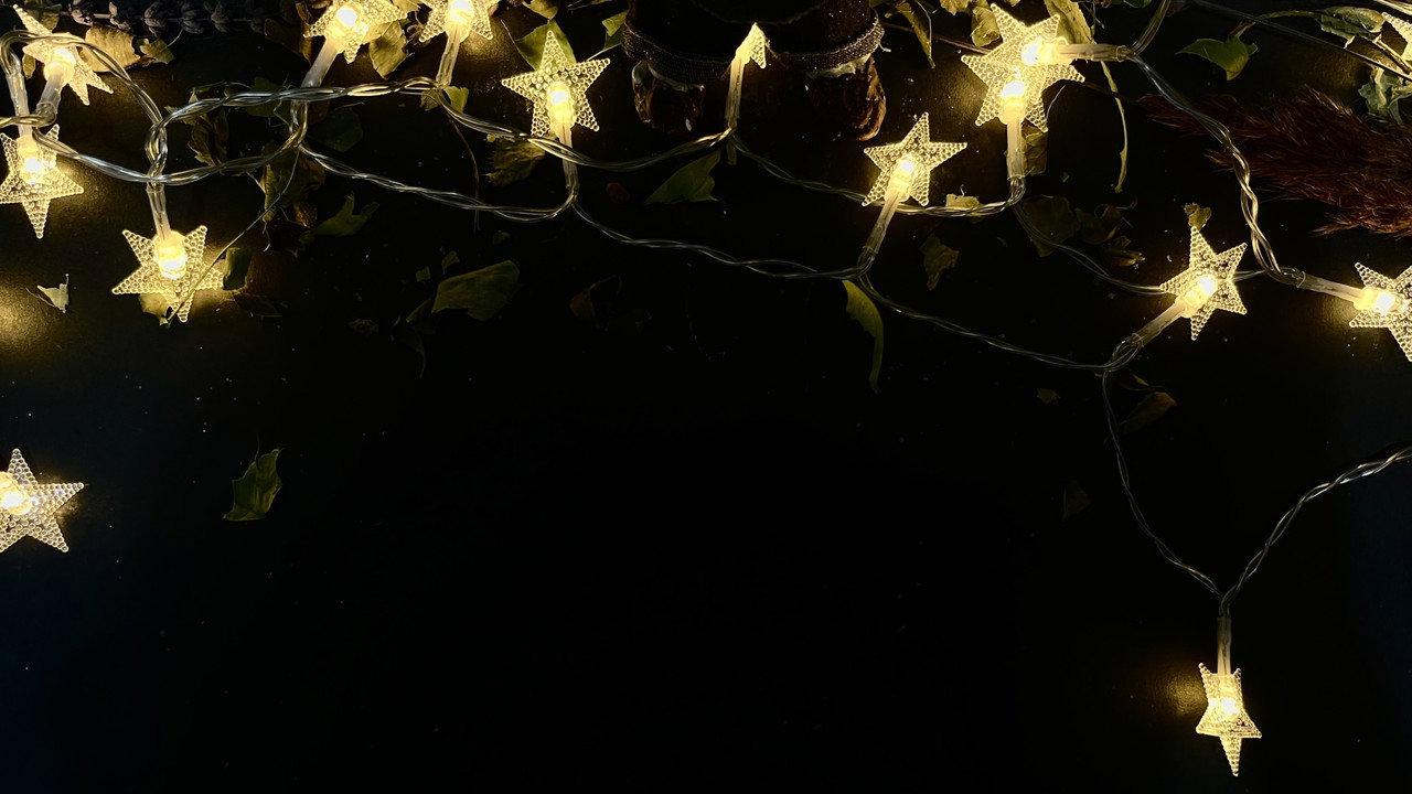 The Flytrap backdrop