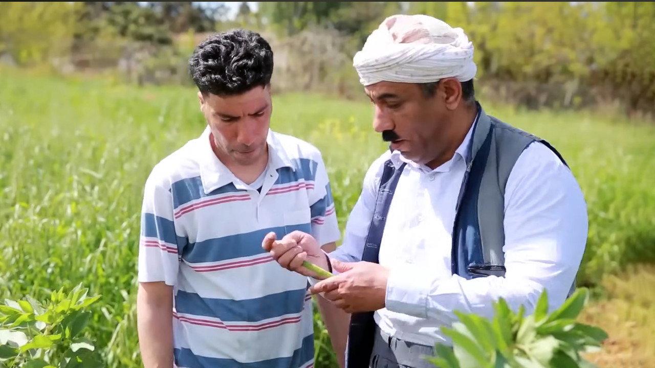 ريح الغرب backdrop