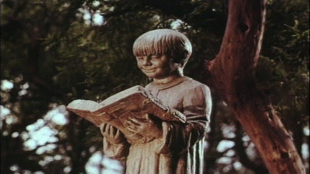 The Book of Stone backdrop