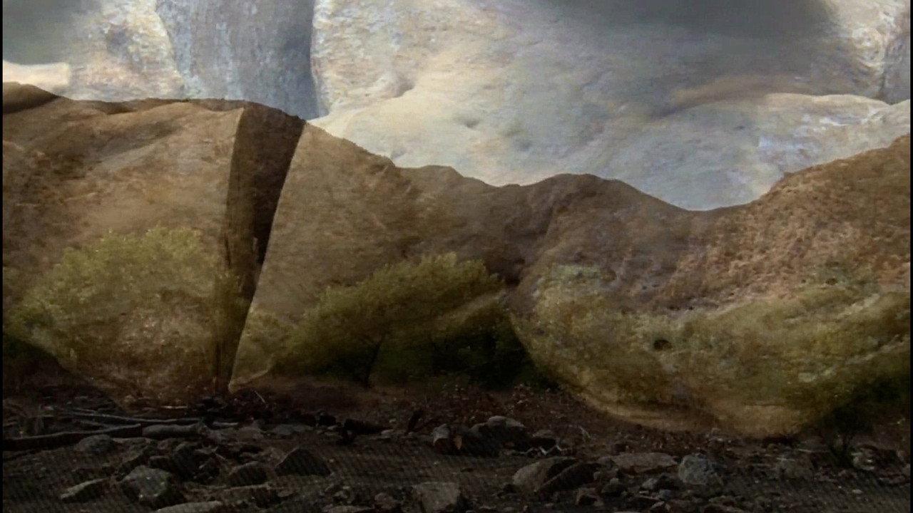 Topsy: The Last American Camel backdrop
