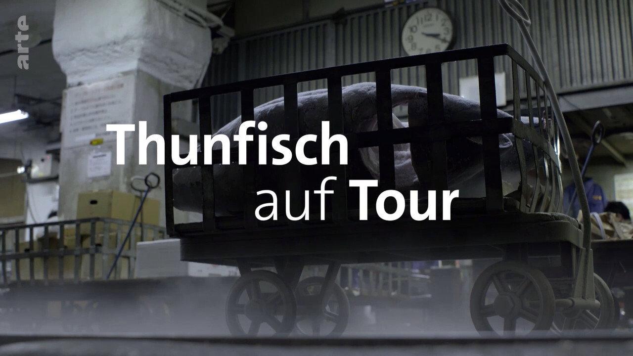 Tuna on Tour backdrop