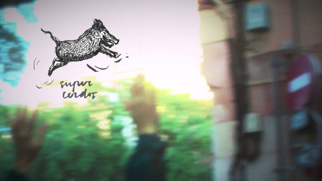 SUPERPIGS backdrop
