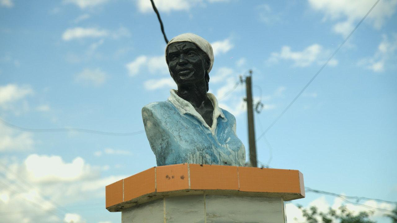 Mamá Tingó: Living memory of the Dominican land backdrop