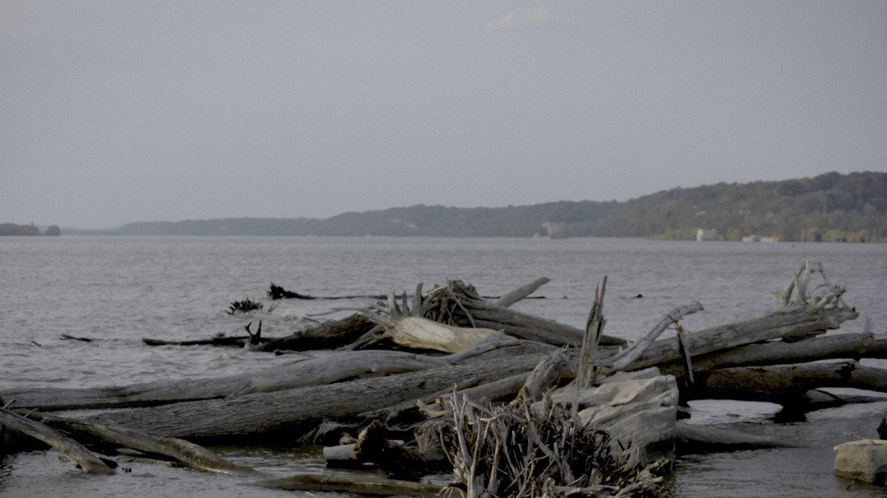 Smallpox Island backdrop