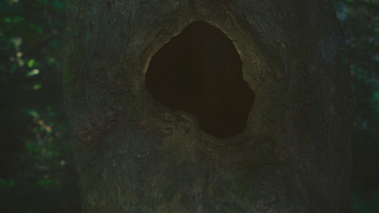 Earthen backdrop
