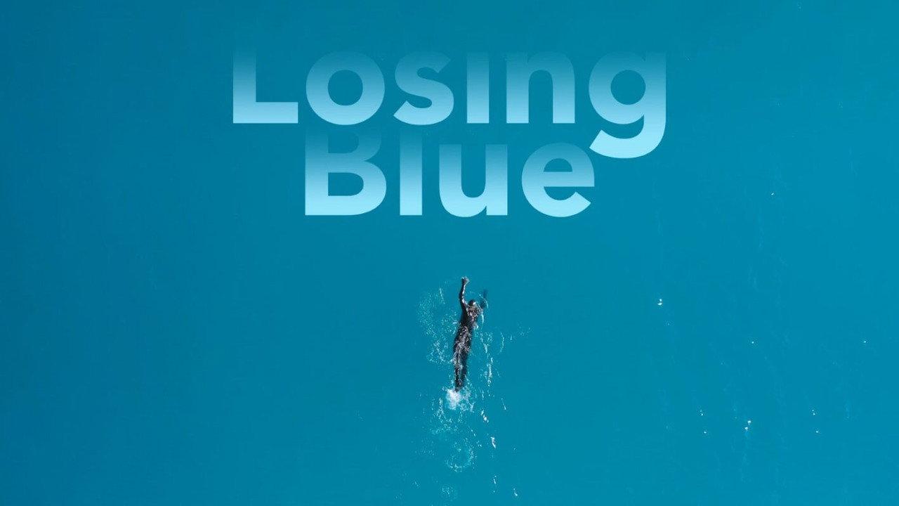 Losing Blue backdrop