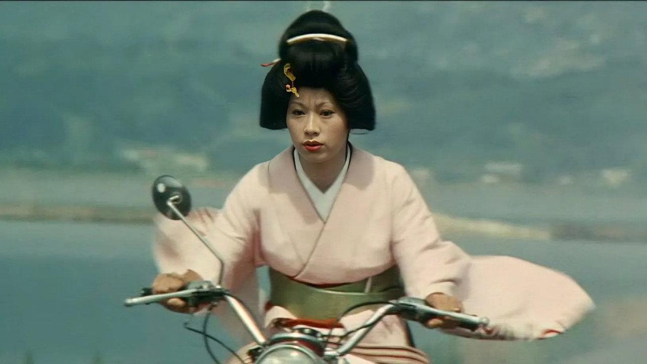 Turtle Geisha backdrop