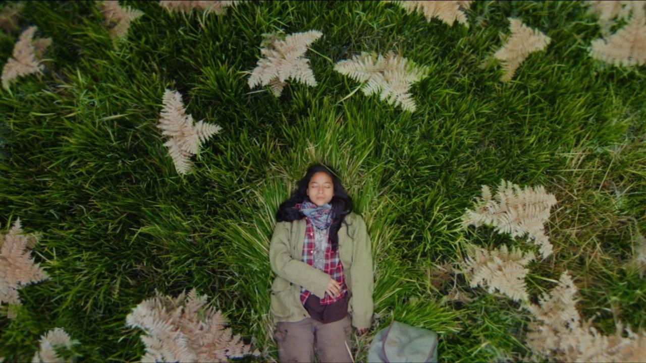 Four Seasons in Java backdrop