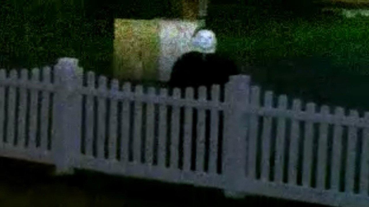 The Lost Footage of Michael Myers backdrop