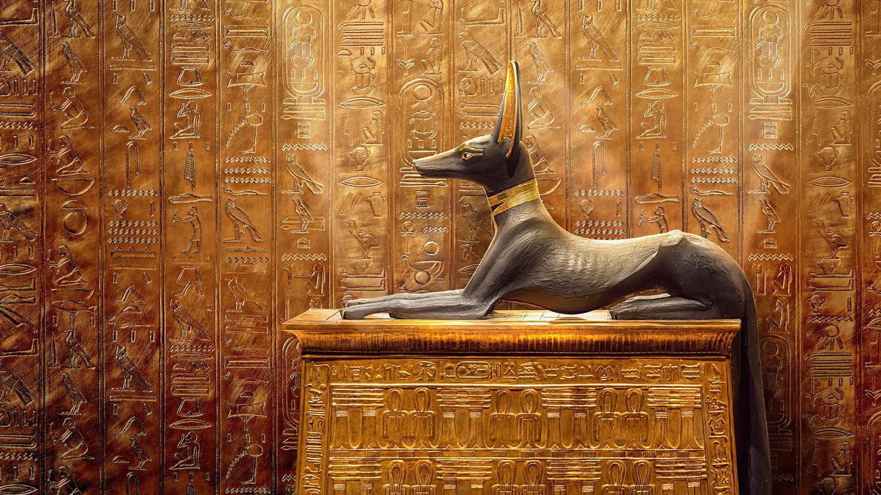 King Tut: A Century of Secrets backdrop